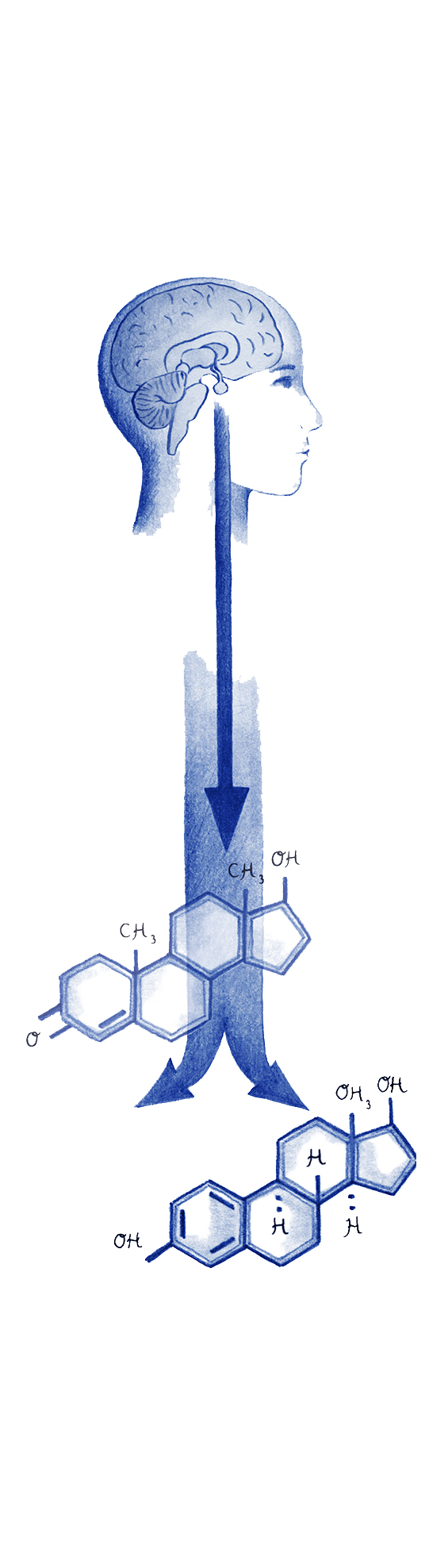 Hormone therapy