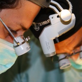 Facial Team operando