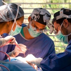 Facial Team