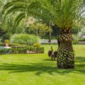 Jardines HC Marbella 2018