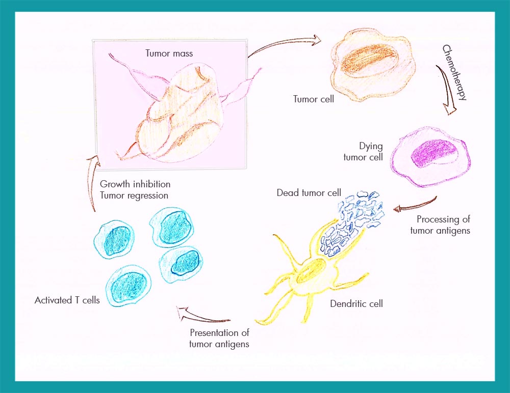 Immunotherapy