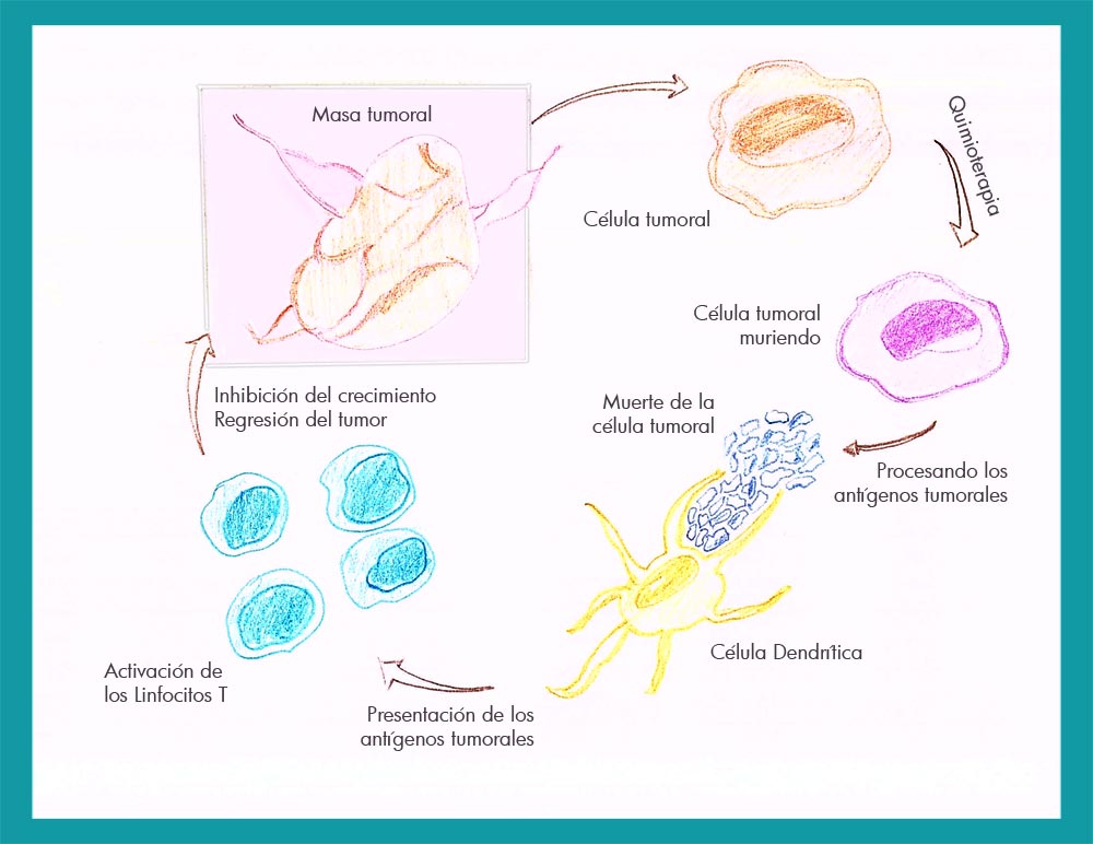 Inmunoterapia