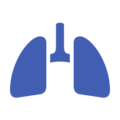 Icono pulmón