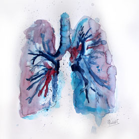 Pulmones