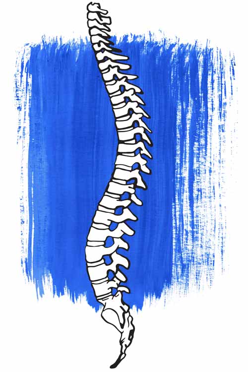 Spine