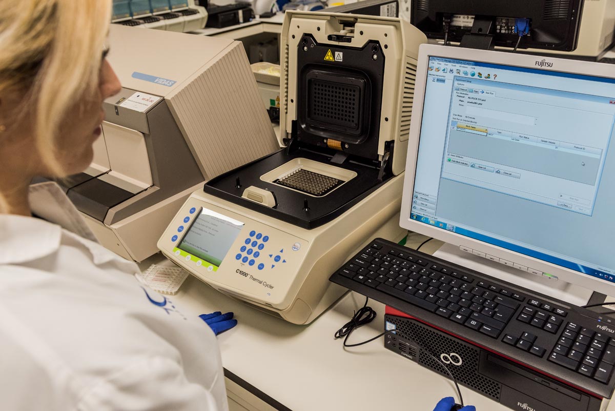 PCR Laboratorio Microbiología