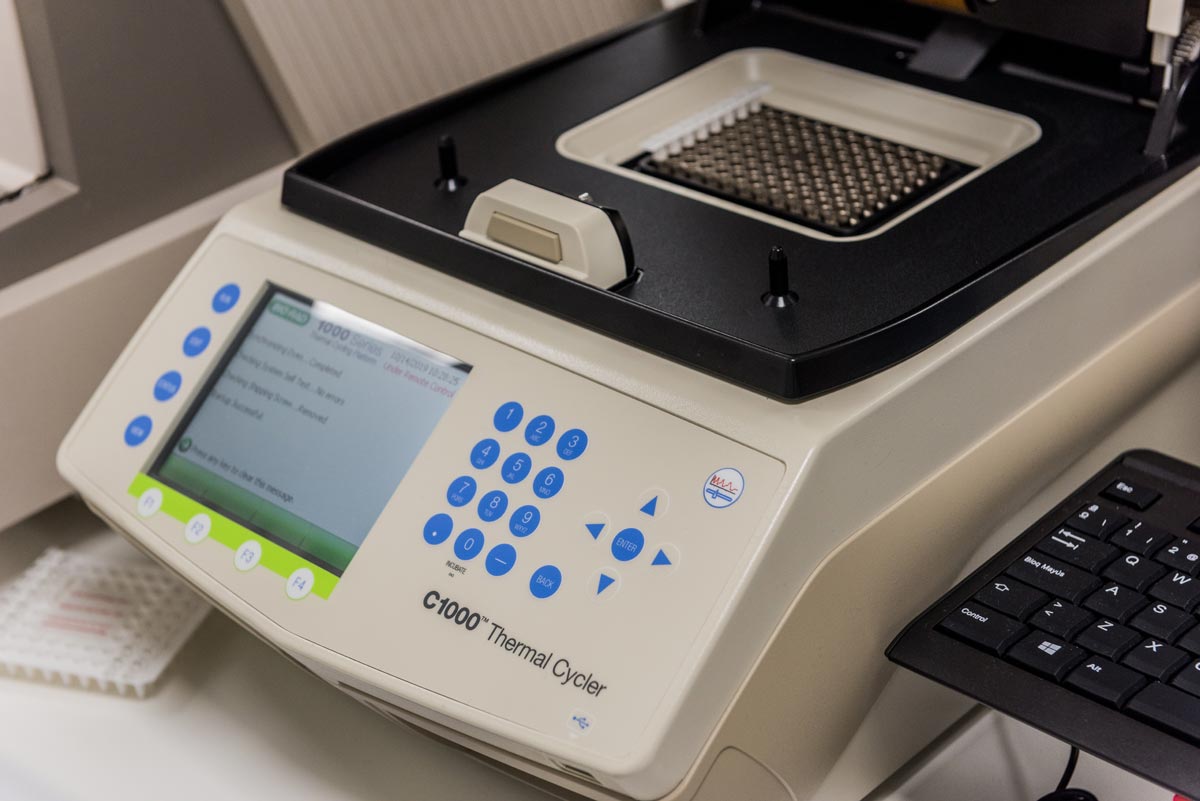 PCR para detección Coronavirus