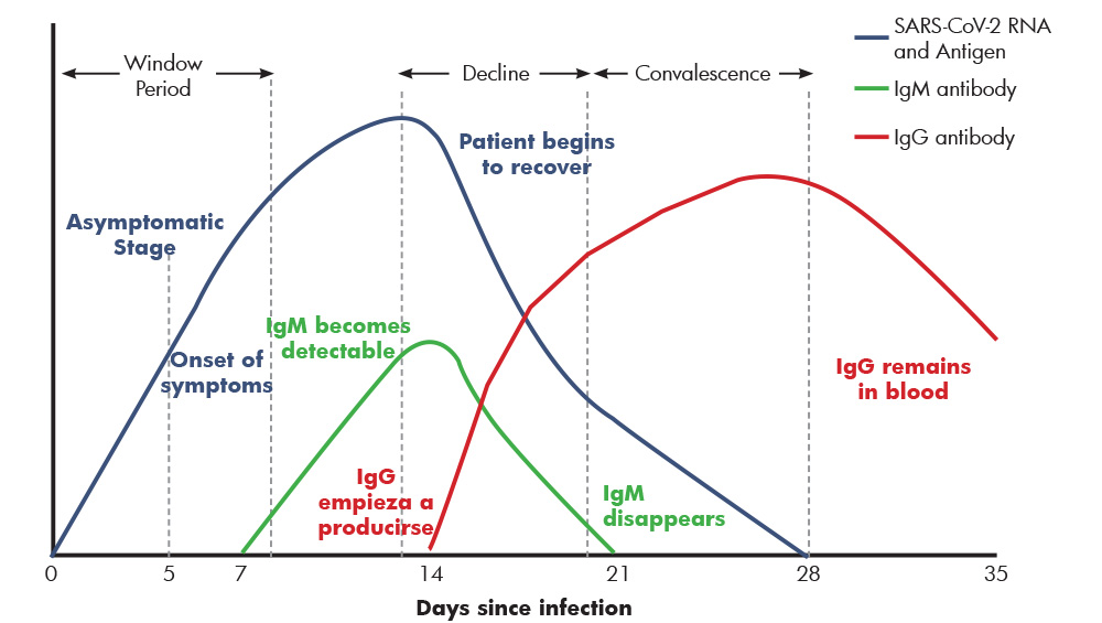 coronavirus infection