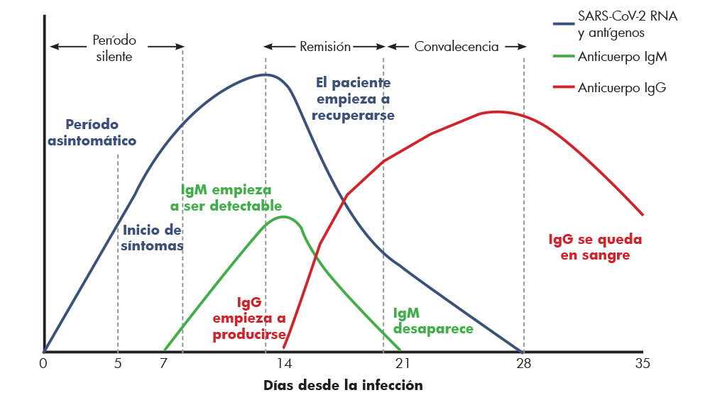 gráfica infección Coronavirus