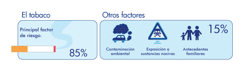 factores de riesgo cancer de pulmon