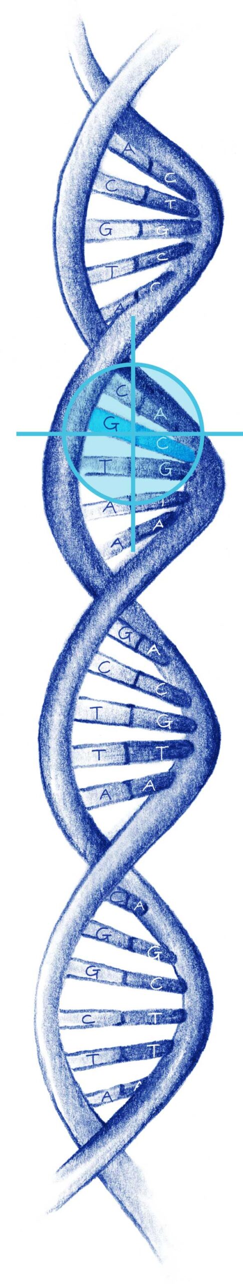 biopsia