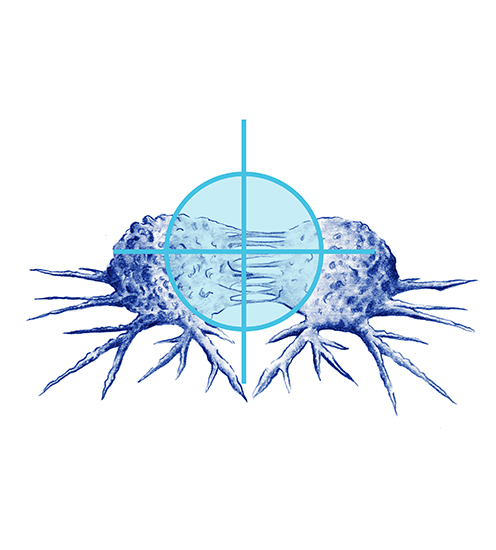 terapia dirigida urologia