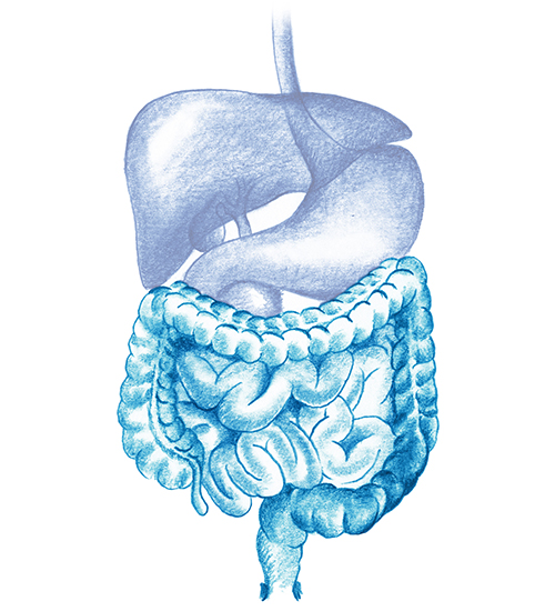 Patologías del intestino delgado