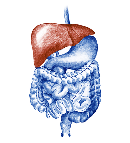 enfermedades_hepaticas