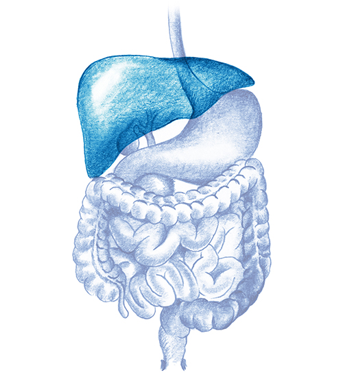 enfermedades_hepaticas