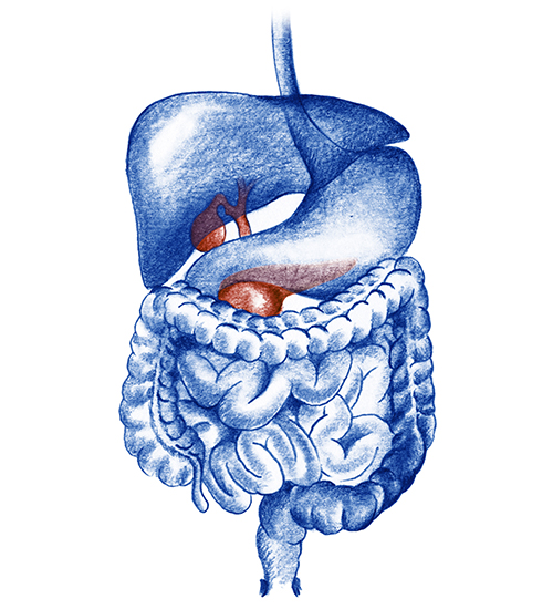 enfermedades biliares y pancreáticas