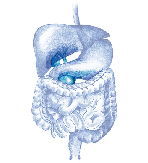 Patologías hepático-bilio-pancreáticas