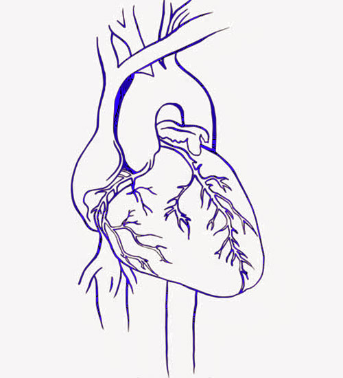 Tratamiento cardiorespiratoria