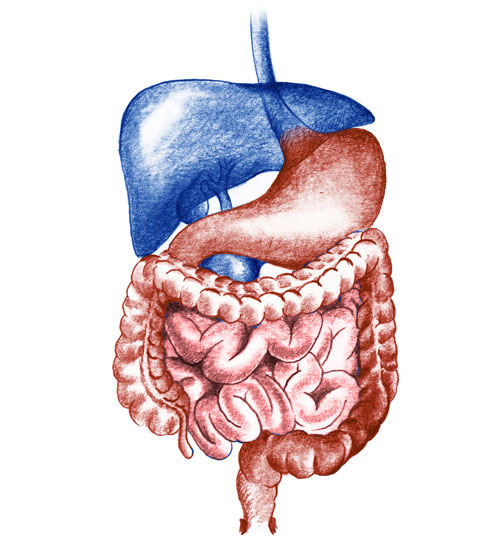 gastroenteritis