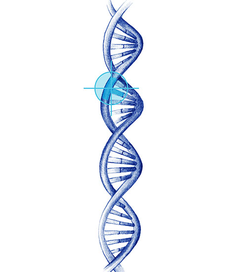 biopsia