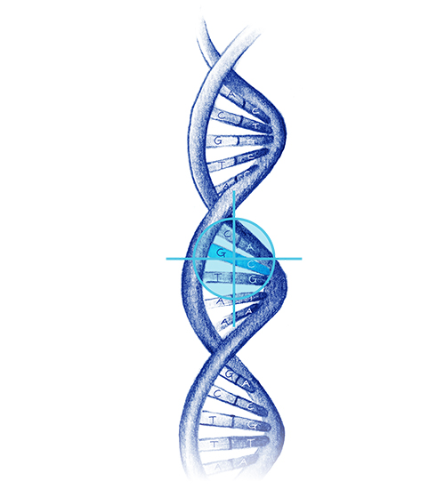 Plataformas genomicas