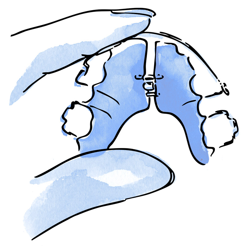 rehabilitación oral