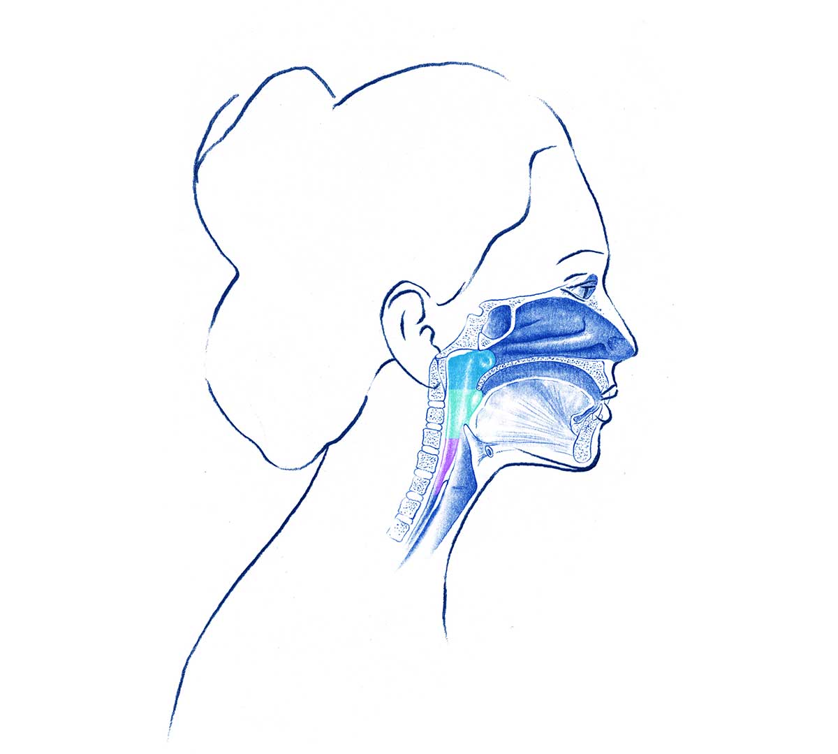 crioterapia nervio nasal
