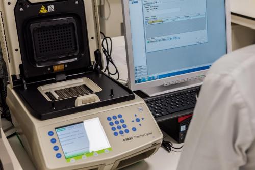 PCR