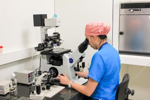 Laboratorio FIV