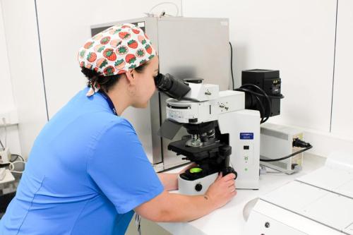 Laboratorios de embriología y andrología